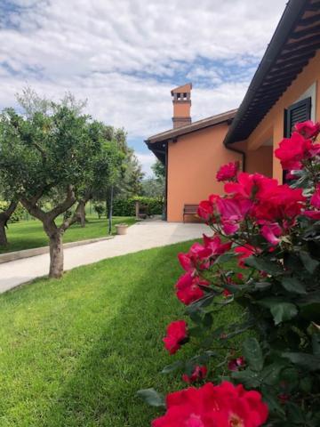 Il Giardino Delle Rose Apartment Spello Ngoại thất bức ảnh